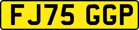 FJ75GGP