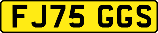 FJ75GGS
