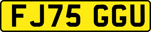 FJ75GGU