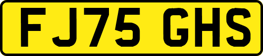 FJ75GHS