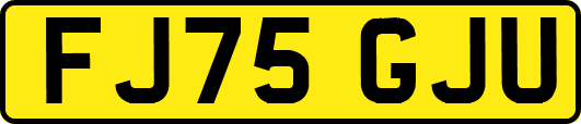 FJ75GJU