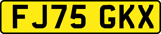 FJ75GKX