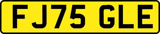 FJ75GLE