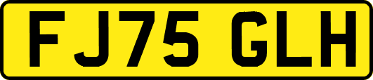 FJ75GLH