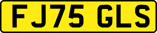 FJ75GLS