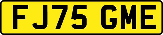 FJ75GME