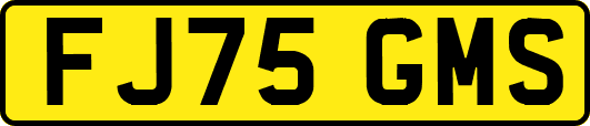 FJ75GMS