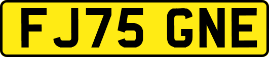 FJ75GNE