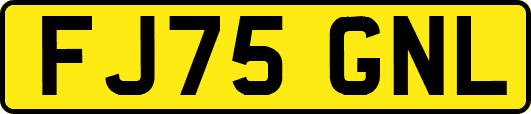 FJ75GNL