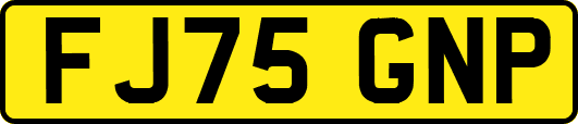 FJ75GNP