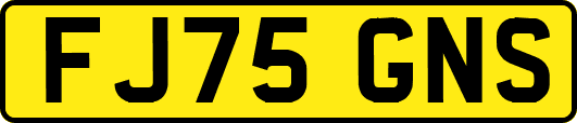 FJ75GNS