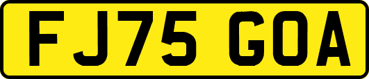 FJ75GOA