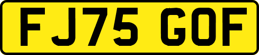 FJ75GOF