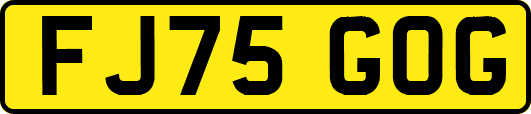 FJ75GOG