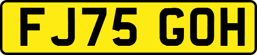 FJ75GOH