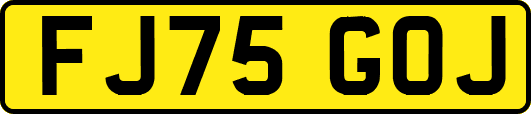 FJ75GOJ