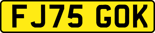 FJ75GOK