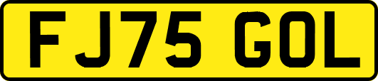 FJ75GOL
