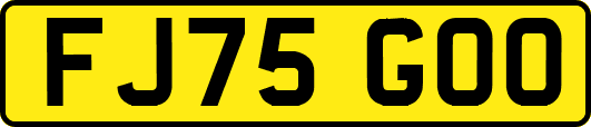 FJ75GOO