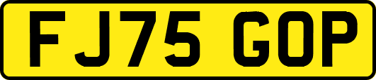 FJ75GOP