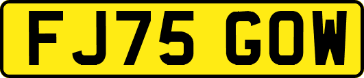 FJ75GOW