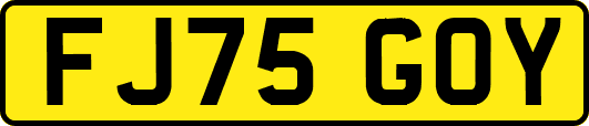 FJ75GOY