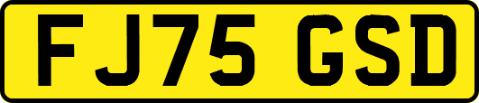FJ75GSD