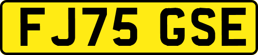 FJ75GSE