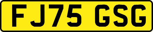 FJ75GSG