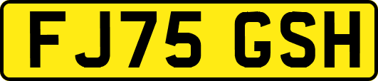 FJ75GSH