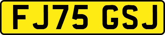 FJ75GSJ