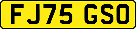 FJ75GSO