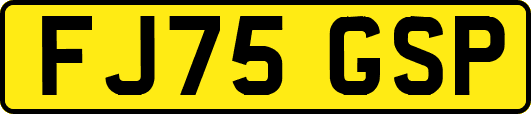 FJ75GSP