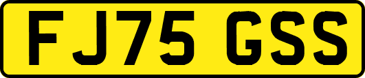 FJ75GSS