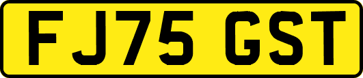 FJ75GST