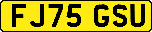 FJ75GSU