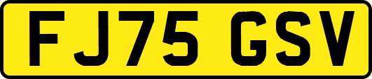 FJ75GSV