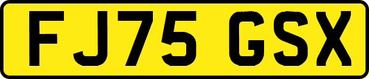 FJ75GSX
