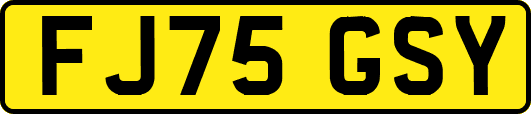 FJ75GSY