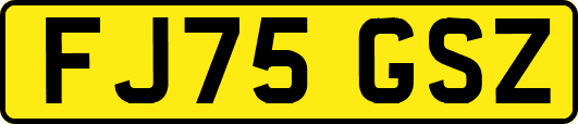 FJ75GSZ