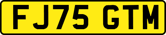 FJ75GTM