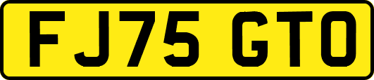 FJ75GTO