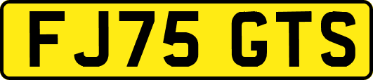 FJ75GTS