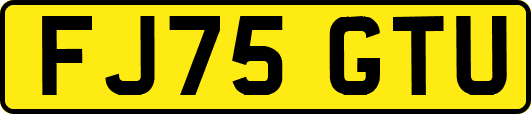 FJ75GTU