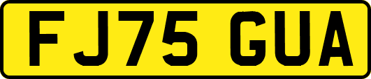 FJ75GUA