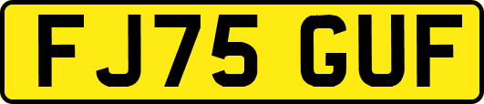 FJ75GUF