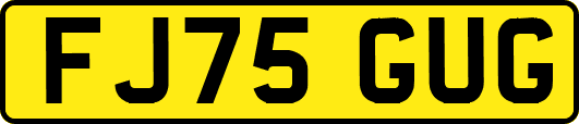 FJ75GUG