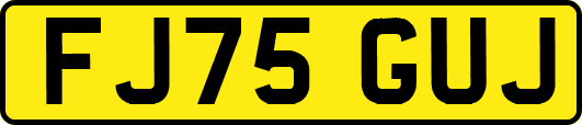 FJ75GUJ