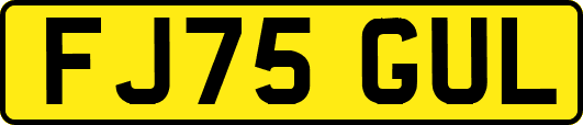 FJ75GUL