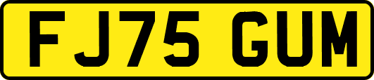 FJ75GUM